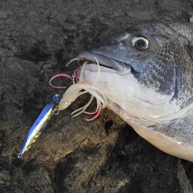 OBSESSION J25 Inchiku Tintenfi – Fishing Lure Buzzbait Bewertung und Preis