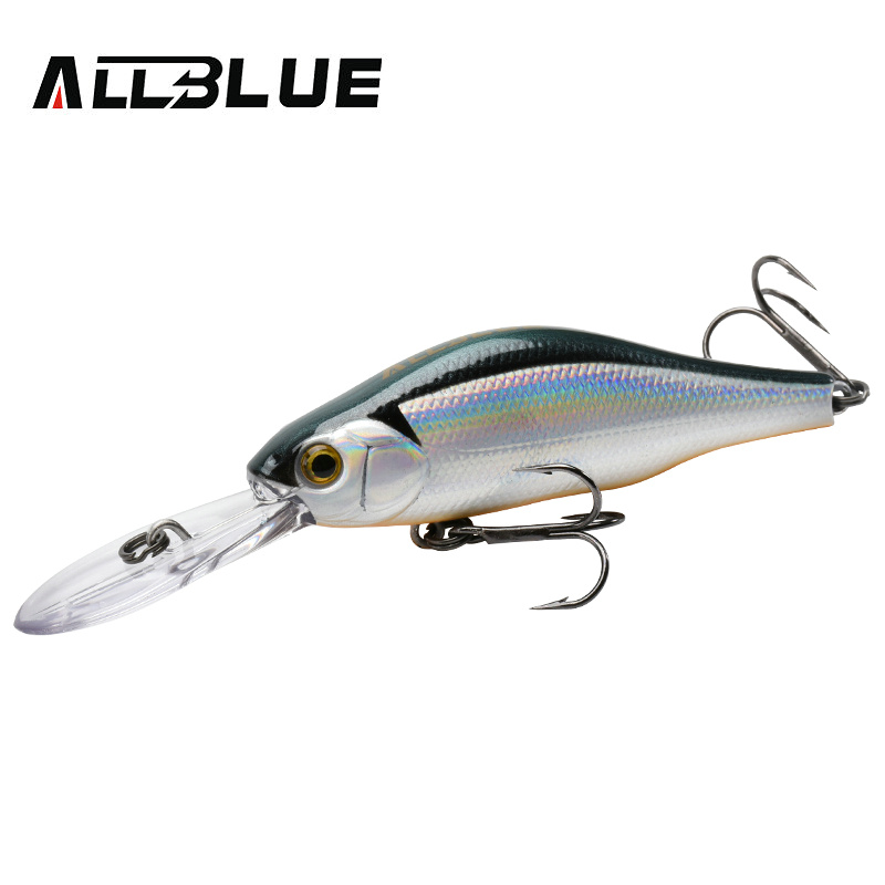 ALLBLUE HUNCH 70SP DR Professi – Fishing Lure Spoon Bewertung und Preis